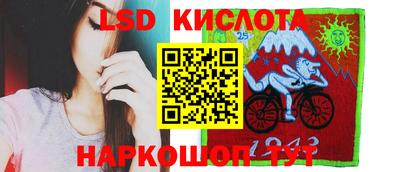 спиды Кимры
