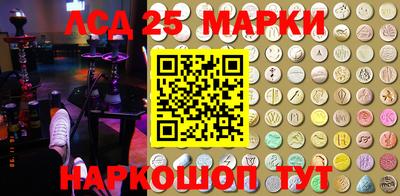 спиды Кимры