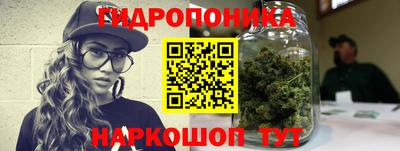 спиды Кинель